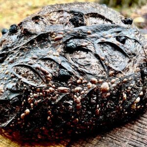 Chocolate Sourdough Bread